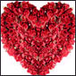 Click Here to Order Flowers
